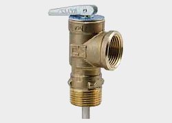Temperature & Pressure Relief Valve